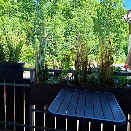 Ferienwohnung Waldzauber Bad Sachsa Exteriör bild