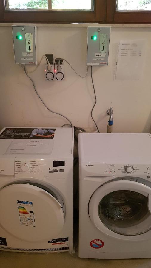 Ferienwohnung Waldzauber Bad Sachsa Exteriör bild